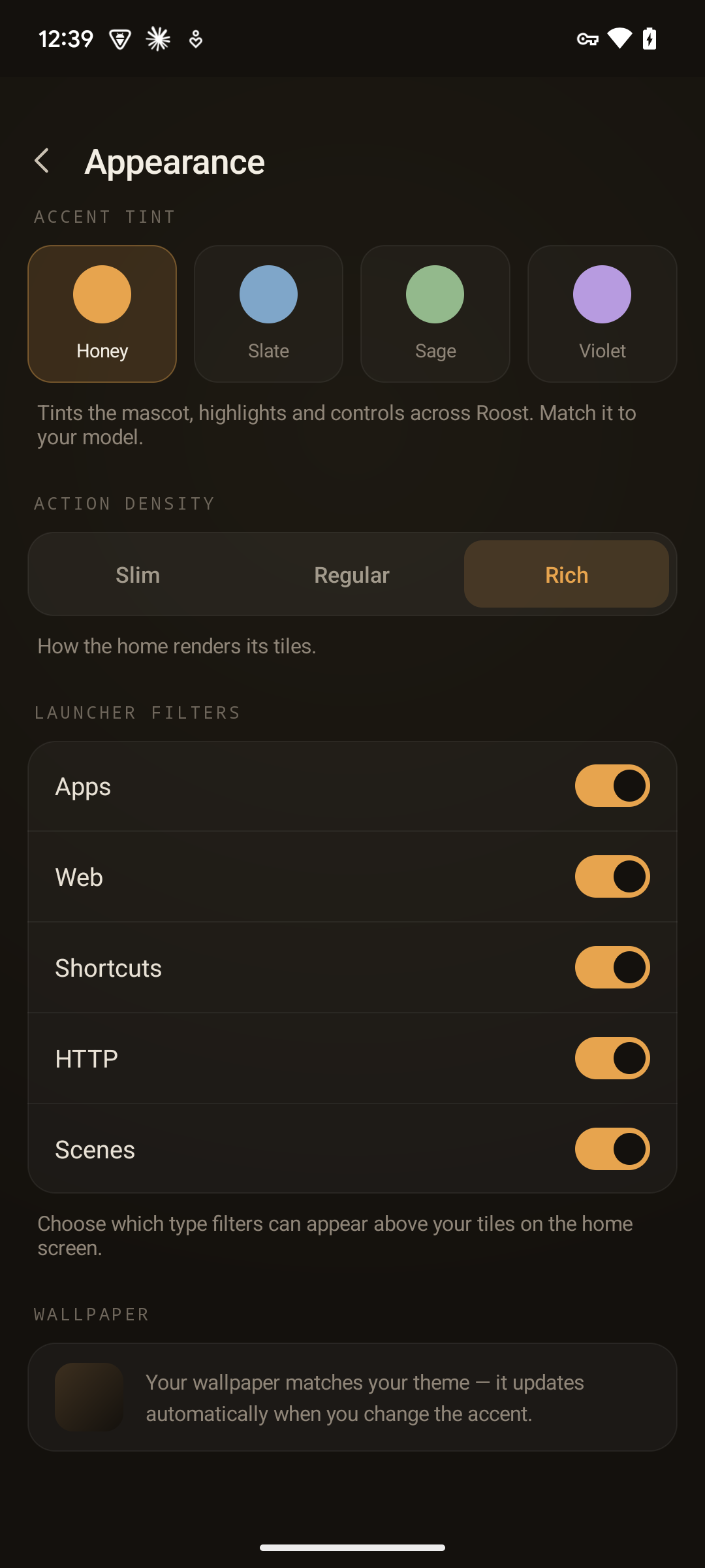 The Appearance screen — accent-tint swatches, an Action density Slim / Regular / Rich control set to Rich, and a Launcher filters section with Apps / Web / Shortcuts / HTTP / Scenes toggles all on